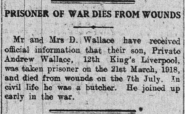 Andrew C Wallace