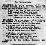 William Collison